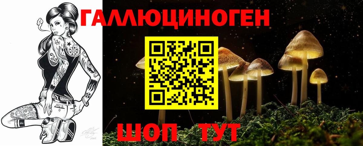 Верхняя Салда  Галлюциногенные грибы MAGIC MUSHROOMS  Вход с VPN  Псилоцибиновые грибы прущие грибы 
